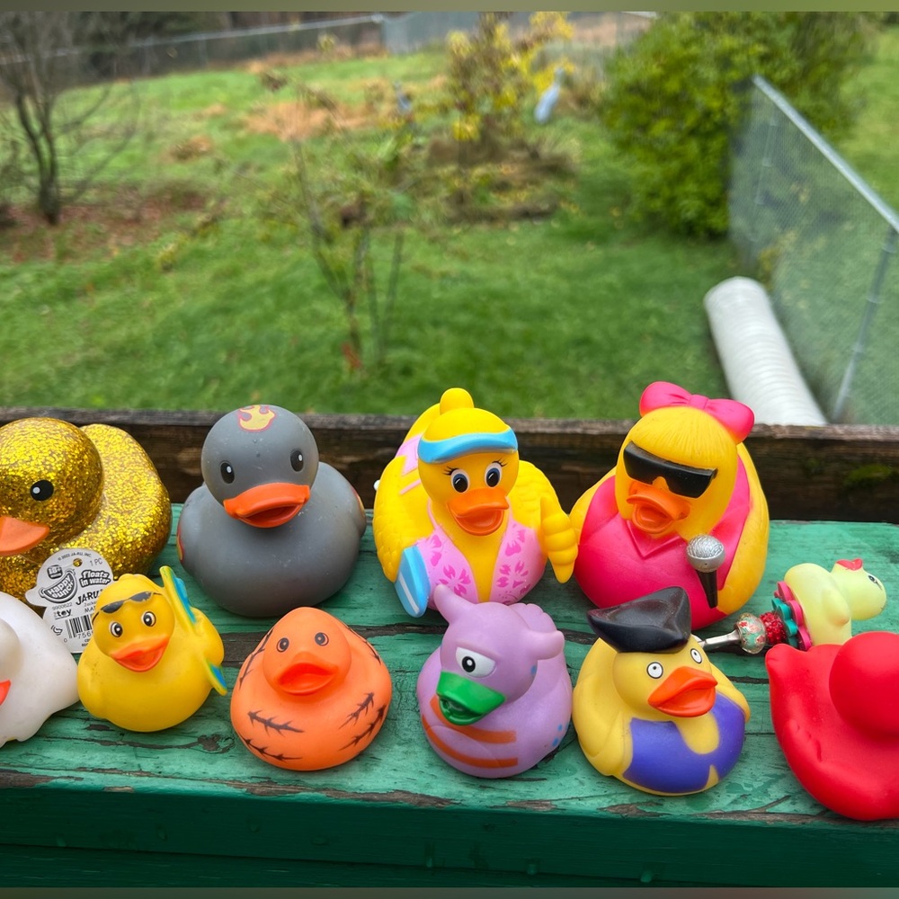 Colorful Rubber Duck Collection - Picture 2 of 10